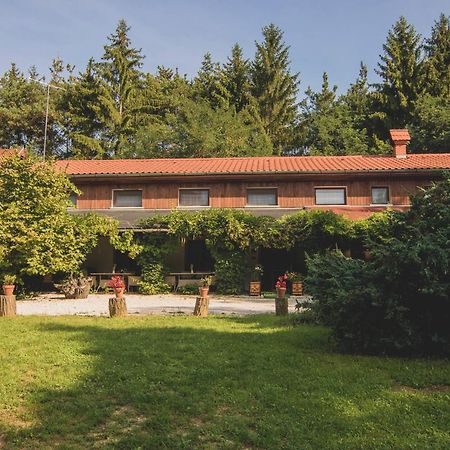 Kisrakos Orsegi Patakparti Alpaka Panzio Bed & Breakfast エクステリア 写真